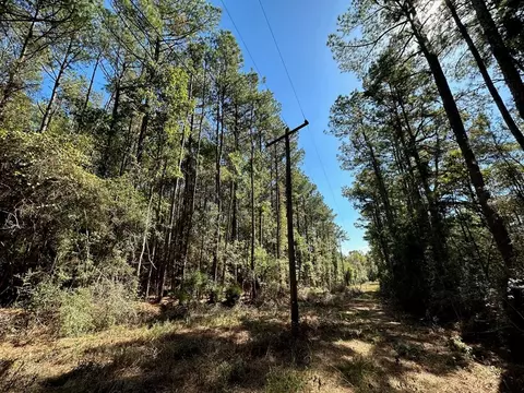 1086 Highway 27, Jayess, MS 39641 photo 2