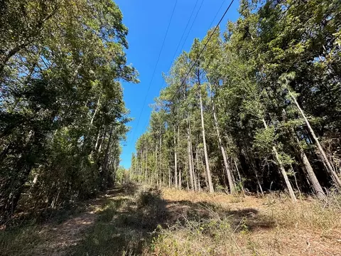 1086 Highway 27, Jayess, MS 39641 photo 3