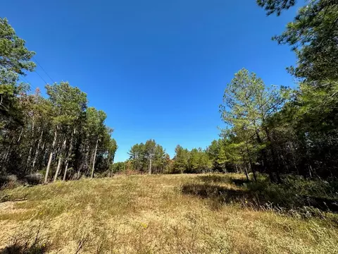 1086 Highway 27, Jayess, MS 39641 photo 4