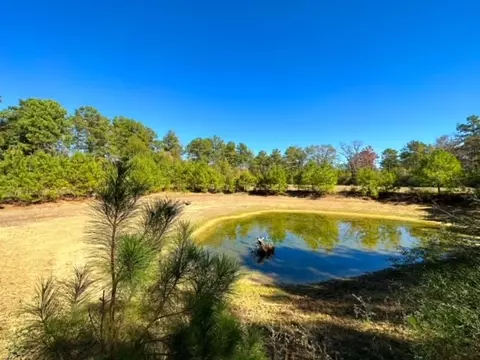 000 Slay Rd, Summit, MS 39666 photo 6