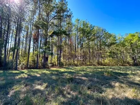 000 Slay Rd, Summit, MS 39666 photo 9