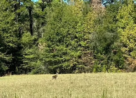 000 Slay Rd, Summit, MS 39666 photo 3