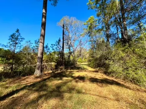 000 Slay Rd, Summit, MS 39666 photo 11