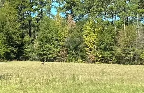 000 Slay Rd, Summit, MS 39666 photo 2