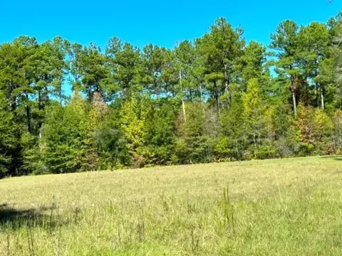 000 Slay Rd, Summit, MS 39666 photo 4