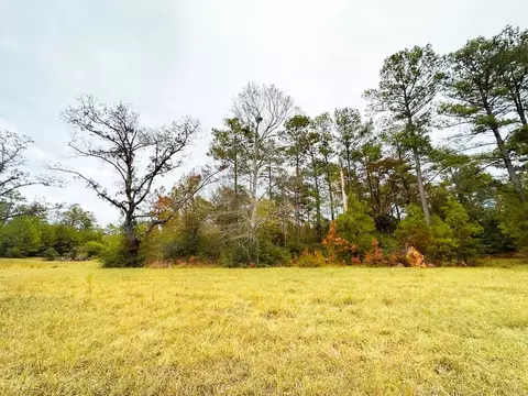 000 Slay Rd, Summit, MS 39666 photo 14