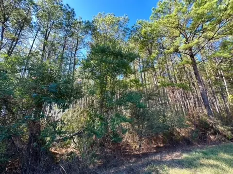 000 Slay Rd, Summit, MS 39666 photo 15