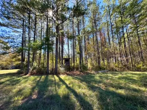 000 Slay Rd, Summit, MS 39666 photo 17