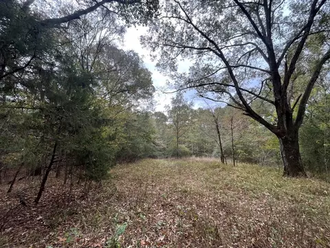 88-176 Aberdeen Rd, Natchez, MS 39120 photo 15