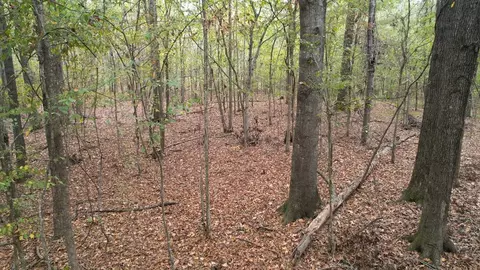 88-176 Aberdeen Rd, Natchez, MS 39120 photo 10