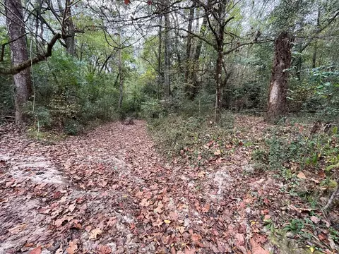 88-176 Aberdeen Rd, Natchez, MS 39120 photo 37