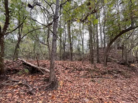88-176 Aberdeen Rd, Natchez, MS 39120 photo 34