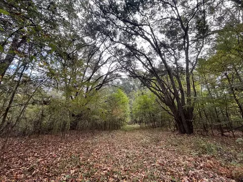 88-176 Aberdeen Rd, Natchez, MS 39120 photo 5
