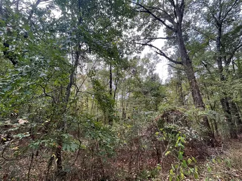 88-176 Aberdeen Rd, Natchez, MS 39120 photo 3