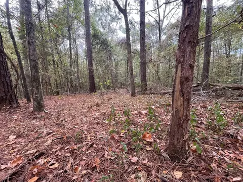 88-176 Aberdeen Rd, Natchez, MS 39120 photo 11