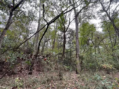 88-176 Aberdeen Rd, Natchez, MS 39120 photo 28