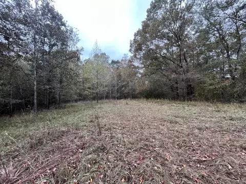 88-176 Aberdeen Rd, Natchez, MS 39120 photo 17