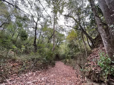 88-176 Aberdeen Rd, Natchez, MS 39120 photo 38