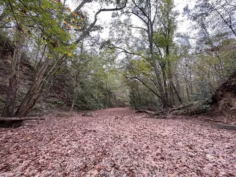 88-176 Aberdeen Rd, Natchez, MS 39120 photo 22