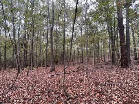 88-176 Aberdeen Rd, Natchez, MS 39120 photo 13