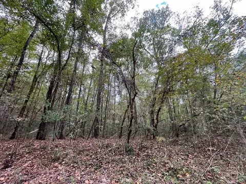 88-176 Aberdeen Rd, Natchez, MS 39120 photo 31