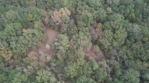 88-176 Aberdeen Rd, Natchez, MS 39120 photo 21