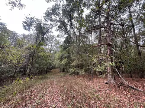 88-176 Aberdeen Rd, Natchez, MS 39120 photo 9