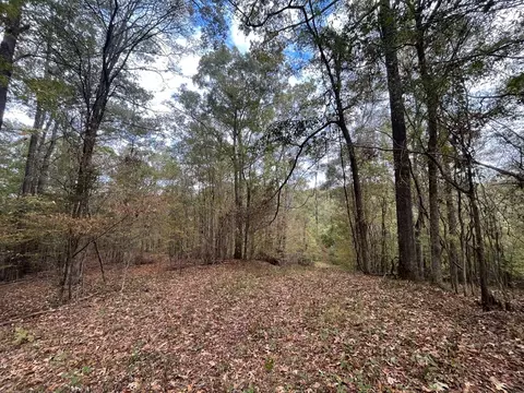 88-176 Aberdeen Rd, Natchez, MS 39120 photo 7