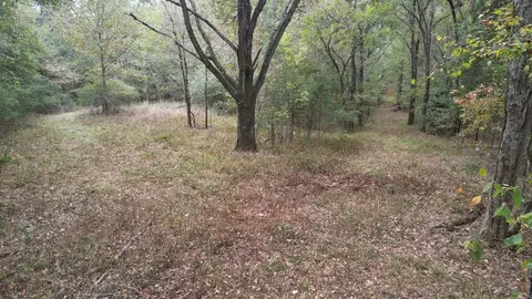 88-176 Aberdeen Rd, Natchez, MS 39120 photo 36