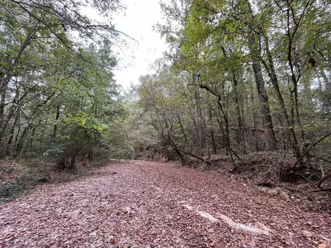 88-176 Aberdeen Rd, Natchez, MS 39120 photo 26
