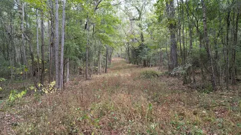 88-176 Aberdeen Rd, Natchez, MS 39120 photo 16