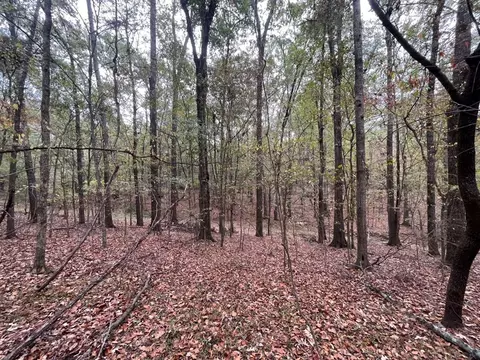 88-176 Aberdeen Rd, Natchez, MS 39120 photo 12