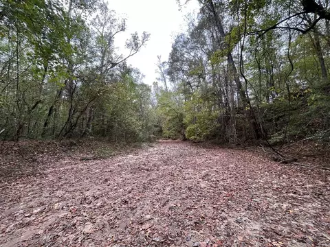 88-176 Aberdeen Rd, Natchez, MS 39120 photo 29