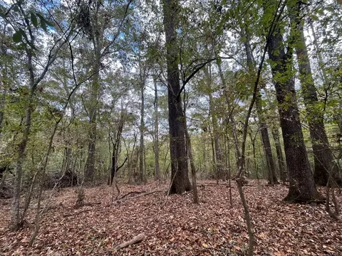 88-176 Aberdeen Rd, Natchez, MS 39120 photo 4