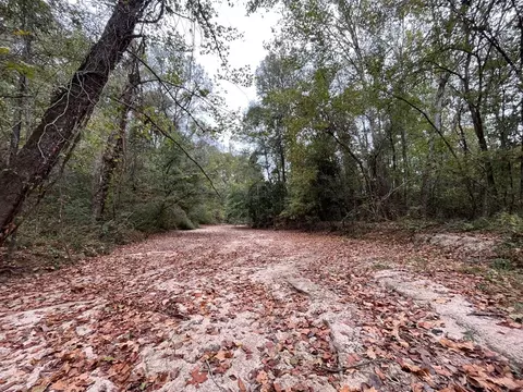 88-176 Aberdeen Rd, Natchez, MS 39120 photo 35