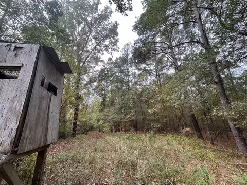 88-176 Aberdeen Rd, Natchez, MS 39120 photo 8