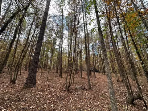 1 Jack Rd, Utica, MS 39175 photo 9
