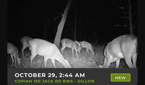 1 Jack Rd, Utica, MS 39175 photo 19