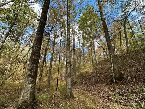 1 Jack Rd, Utica, MS 39175 photo 8