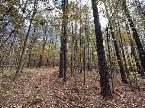 1 Jack Rd, Utica, MS 39175 photo 5