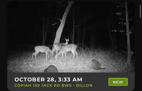 1 Jack Rd, Utica, MS 39175 photo 18