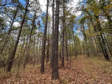 1 Jack Rd, Utica, MS 39175 photo 7