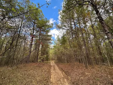 1 Jack Rd, Utica, MS 39175 photo 12