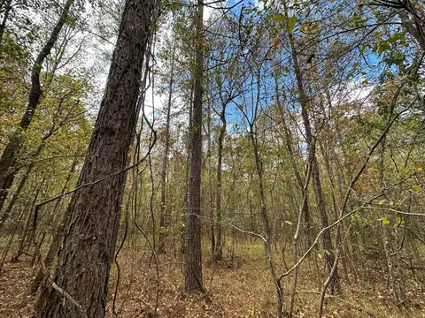 1 Jack Rd, Utica, MS 39175 photo 14