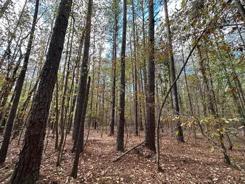 1 Jack Rd, Utica, MS 39175 photo 4