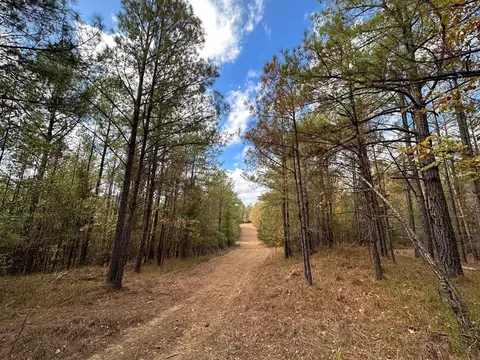 1 Jack Rd, Utica, MS 39175 photo 6