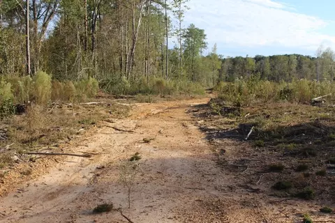 0000 River Ridge Rd, Summit, MS 39666 photo 5