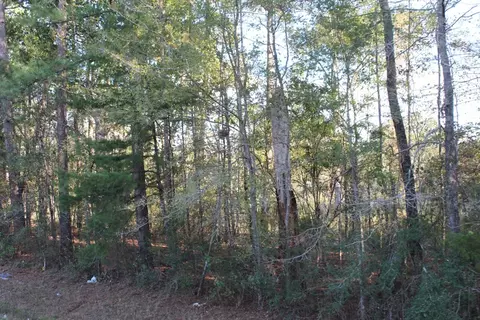 0000 River Ridge Rd, Summit, MS 39666 photo 2