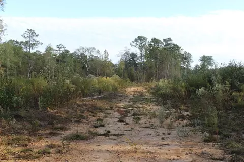 0000 River Ridge Rd, Summit, MS 39666 photo 3