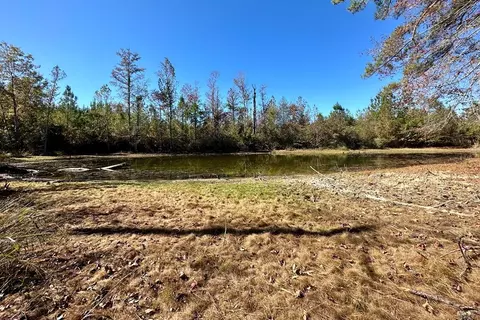 220 Deer Camp Rd, Braxton, MS 39044